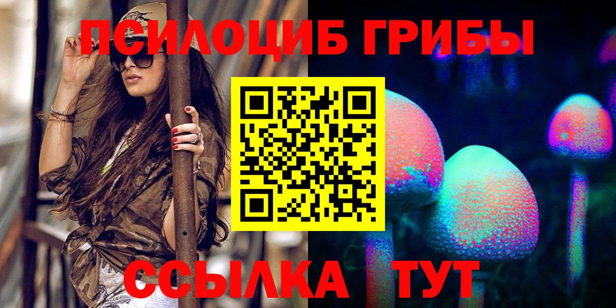 Галлюциногенные грибы Psilocybine cubensis Кинель