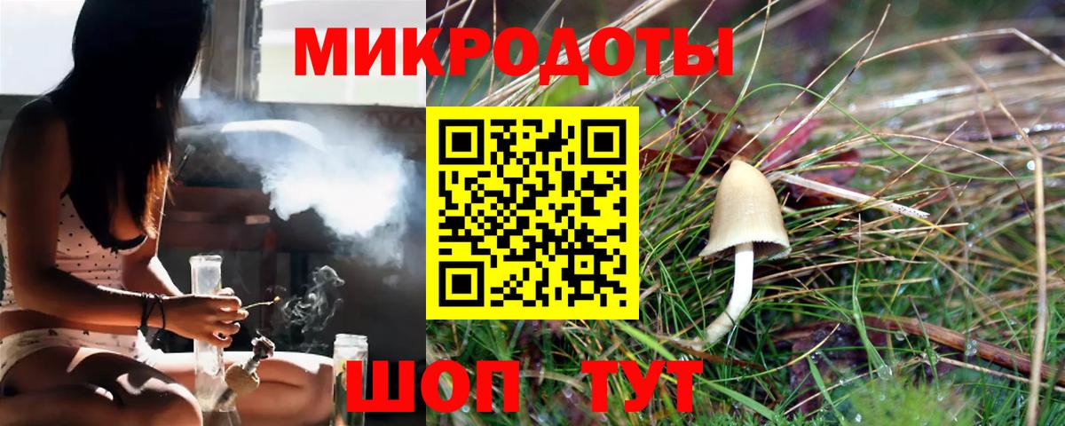 Кинель  Галлюциногенные грибы мухоморы  Вход с VPN 